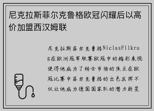 尼克拉斯菲尔克鲁格欧冠闪耀后以高价加盟西汉姆联