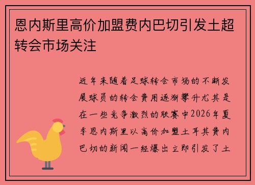 恩内斯里高价加盟费内巴切引发土超转会市场关注